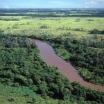 enquanto-rs-enfrenta-enchente-historica,-agencia-reconhece-seca-critica-em-bacia-do-pantanal