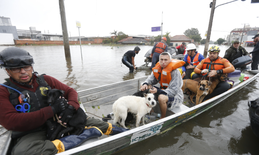 quase-12-mil-animais-ja-foram-resgatados-das-enchentes-no-rs