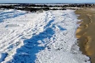 video:-temperaturas-extremas-congelam-ondas-do-mar-na-terra-do-fogo