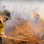 voluntario-se-unem-para-conter-chamas-no-pantanal
