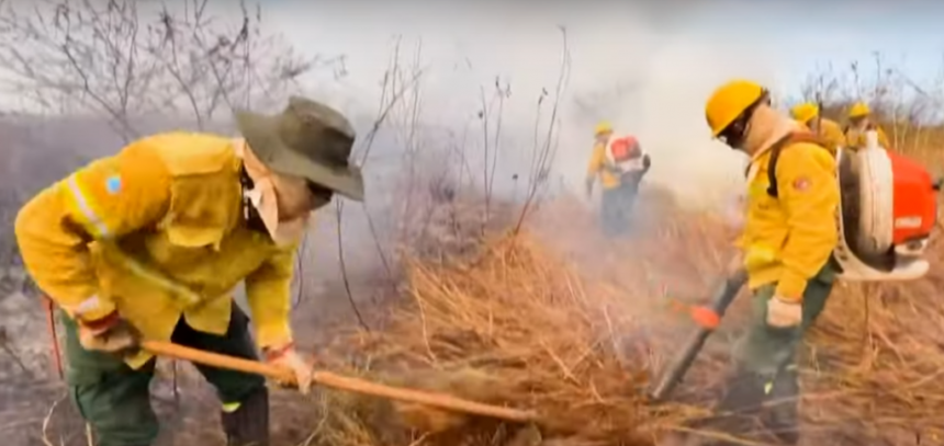 voluntario-se-unem-para-conter-chamas-no-pantanal