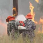 marina-diz-que-pf-investiga-18-focos-do-incendio-no-pantanal;-maioria-fica-em-propriedades-privadas
