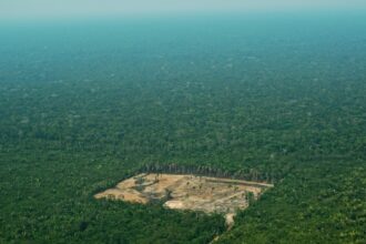 desmatamento-na-amazonia-e-no-cerrado-apresenta-queda-significativa