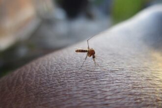 governo-encerra-centro-de-emergencia-contra-dengue